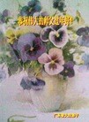 ֹ,㶫󷨵ӹףʦã48

