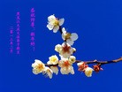 ֹ,󷨵ӹףʦã35
