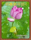ֹ,󷨵ӹףʦã35
