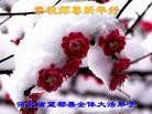 ֹ,󷨵ӹףʦã43
