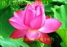 ֹ,󷨵ӹףʦã43
