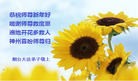 Published on 2/11/2013 ֹ,½󷨵ӹףʦã18
