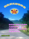 法轮功,吉林市大法弟子恭祝师尊新年好（21条）
