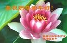 Published on 2/13/2013 ֹ,ɶ󷨵ӹףʦã44
