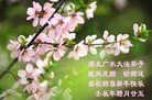 ֹ,󷨵ӹףʦã22
