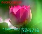 Published on 2/11/2013 ֹ,½󷨵ӹףʦã15
