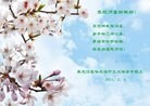 Published on 2/11/2013 ֹ,½󷨵ӹףʦã15
