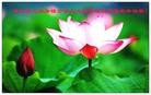 Published on 2/11/2013 ֹ,½󷨵ӹףʦã20
