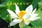 ֹ,ݴ󷨵ӹףʦã25
