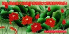 ֹ,󷨵ӹףʦã43
