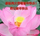 ֹ,󷨵ӹףʦã43

