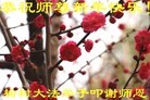 Published on 2/11/2013 ֹ,½󷨵ӹףʦã15
