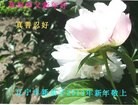 Published on 2/11/2013 ֹ,½󷨵ӹףʦã14
