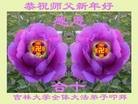 Published on 2/11/2013 ֹ,½󷨵ӹףʦã24
