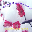 Published on 2/11/2013 ֹ,½󷨵ӹףʦã18
