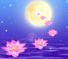 ֹ,󷨵ӹףʦã43
