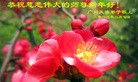 ֹ,ݴ󷨵ӹףʦã25
