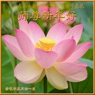 Published on 2/13/2013 ���ֹ�,��½�󷨵��ӹ�ףʦ�����ã�23����
