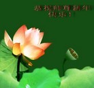 Published on 2/11/2013 ֹ,½󷨵ӹףʦã15
