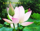 Published on 2/11/2013 ֹ,½󷨵ӹףʦã21

