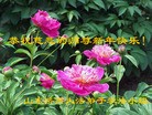 ֹ,ϴ󷨵ӹףʦ֣21
