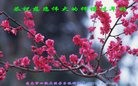 ֹ,Ϋ󷨵ӹףʦã22
