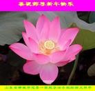 Published on 2/13/2013 ���ֹ�,��½�󷨵��ӹ�ףʦ������ã�23����
