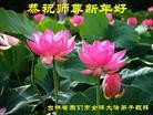 Published on 2/11/2013 ֹ,½󷨵ӹףʦã14
