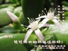 Published on 2/11/2013 ֹ,½󷨵ӹףʦã14
