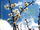 Published on 2/11/2013 ֹ,½󷨵ӹףʦã22
