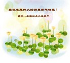 ֹ,ݴ󷨵ӹףʦã22
