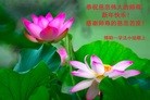 Published on 2/11/2013 ֹ,½󷨵ӹףʦã15
