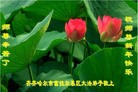 ֹ,󷨵ӹףʦã19
