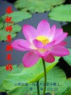 Published on 2/11/2013 ֹ,ϴ󷨵ӹףʦã23
