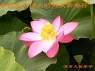 ֹ,ϴ󷨵ӹףʦã19
