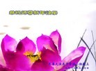 Published on 2/11/2013 ֹ,½󷨵ӹףʦã14
