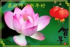 ֹ,人󷨵ӹףʦã22
