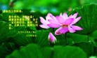 Published on 2/11/2013 ֹ,½󷨵ӹףʦã15
