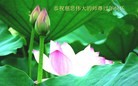 Published on 2/11/2013 ֹ,½󷨵ӹףʦã15
