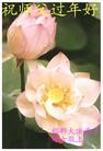 Published on 2/13/2013 ֹ,½󷨵ӹףʦ֣25

