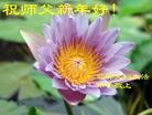 Published on 2/13/2013 ֹ,½󷨵ӹףʦ֣25
