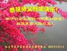 Published on 2/11/2013 ֹ,½󷨵ӹףʦã15
