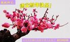 Published on 2/11/2013 ֹ,½󷨵ӹףʦã15
