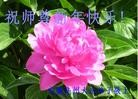 ֹ,մ󷨵ӹףʦã23
