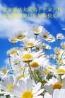 Published on 2/11/2013 ֹ,½󷨵ӹףʦã14
