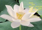 Published on 2/11/2013 ֹ,½󷨵ӹףʦã15
