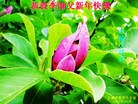 ֹ,󷨵ӹףʦã19
