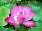 Published on 2/11/2013 ֹ,½󷨵ӹףʦã16

