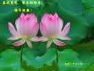 Published on 2/12/2013 ֹ,½󷨵ӹףʦã34
