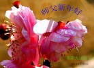 Published on 2/12/2013 ֹ,½󷨵ӹףʦã34
